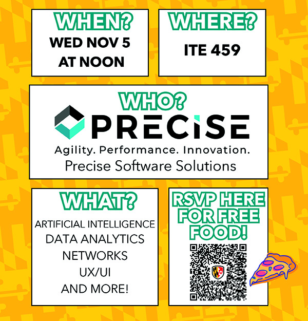 Careers in Public Sector Technology with Precise Solutions