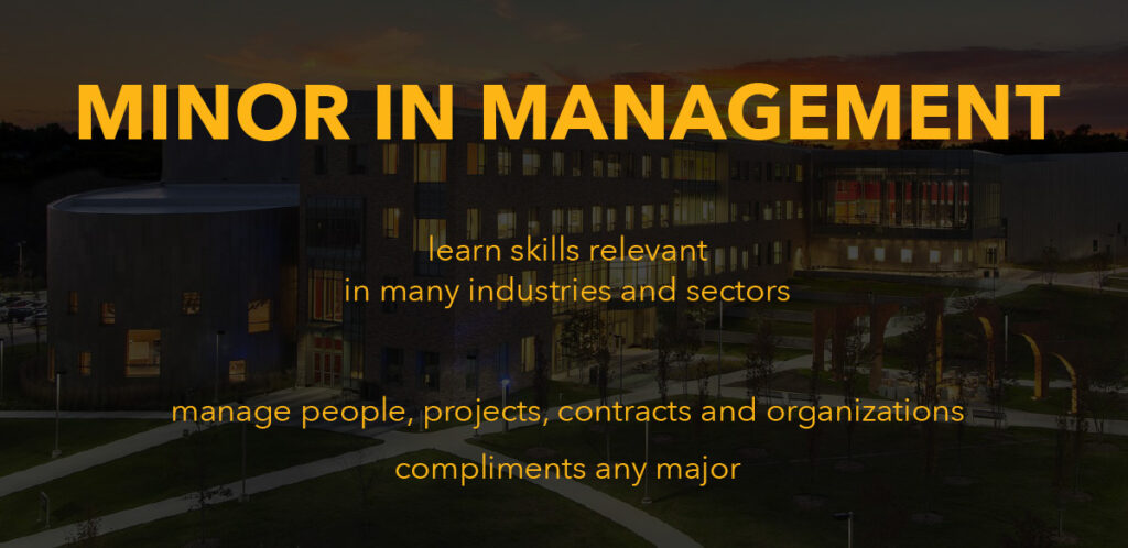 Minor in Mangement graphic
