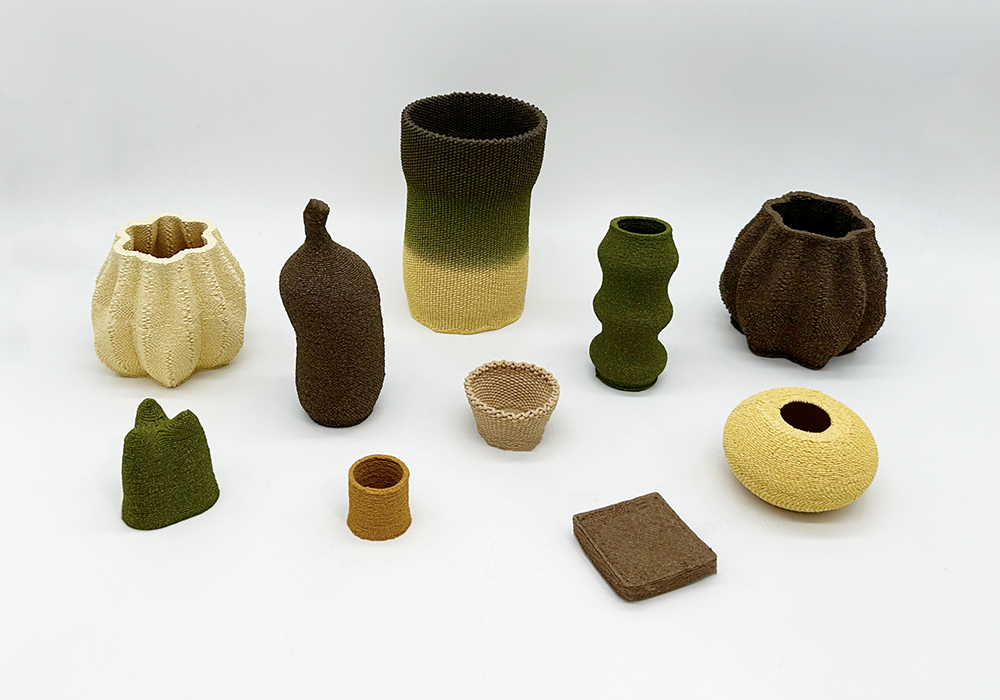 B10-PR1NT: 3D Printed Biomaterials image